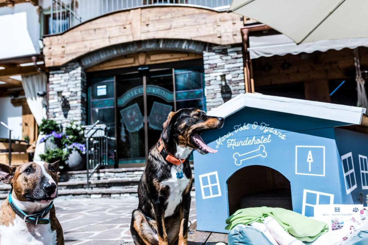 Hotel Alpenhotel Tyrol - - Hundefreundliches Konzepthotel - Adults Only
