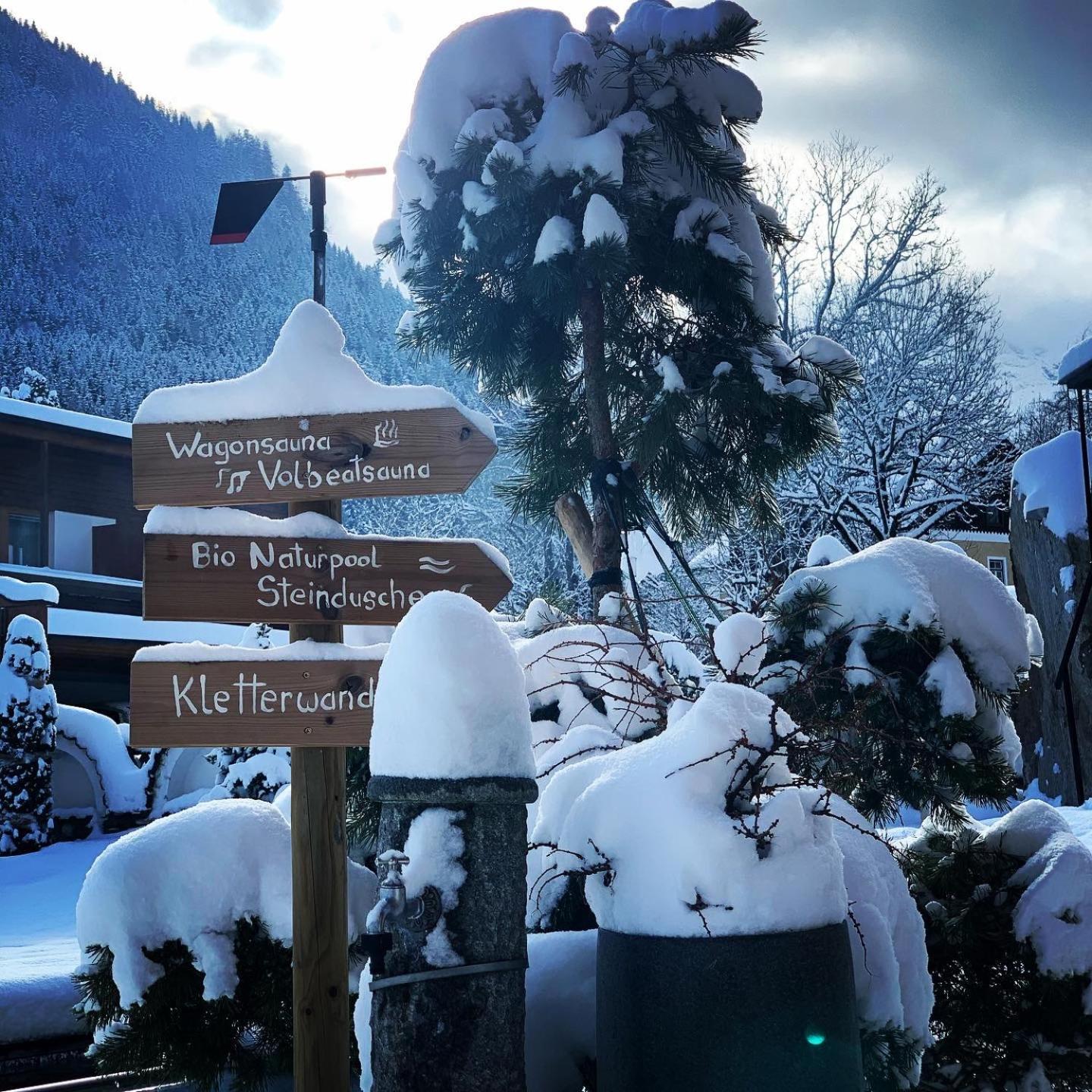 Alpenhotel Tyrol - - Hundefreundliches Konzepthotel - Adults Only Hotel Pertisau